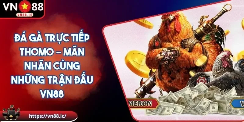 đá gà trực tiếp thomo