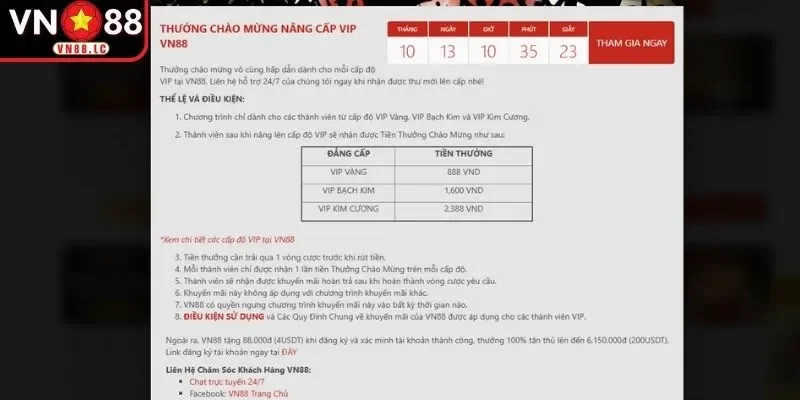 Khám phá các cấp độ VIP tại VN88 và quyền lợi kèm theo